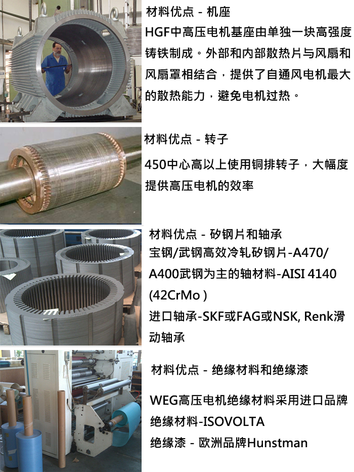 WEG高(gāo)壓電機材料優勢