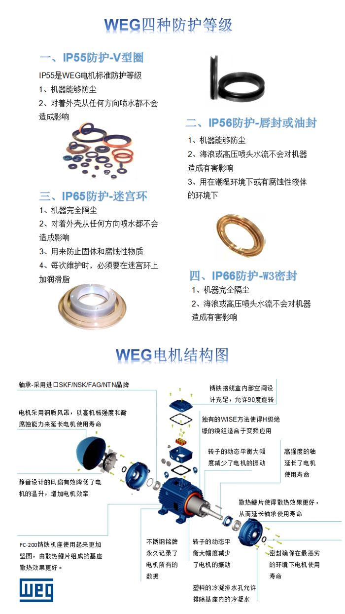 WEG電機防護等級