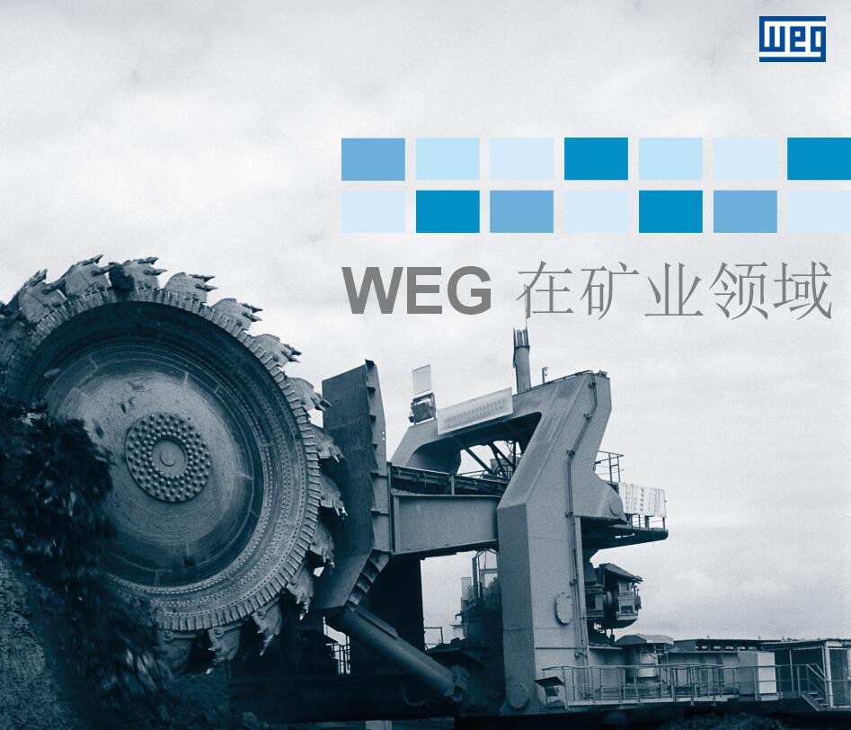 WEG 在礦業領域